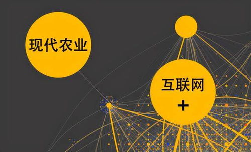 農(nóng)業(yè)與互聯(lián)網(wǎng)交錯 社交電商為農(nóng)村經(jīng)濟(jì)發(fā)展賦能與網(wǎng)絡(luò)技術(shù)領(lǐng)域的拓展